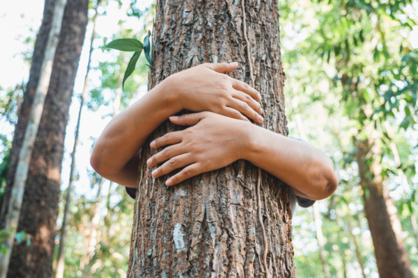 Modernes und aktuell sortiertes Sortiment